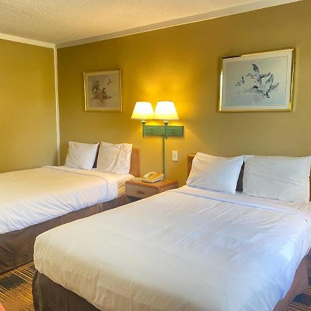 Smokies Inn - New Linens & Ultrafast Wifi - Friendliest Hospitality Guaranteed! Kodak Zewnętrze zdjęcie